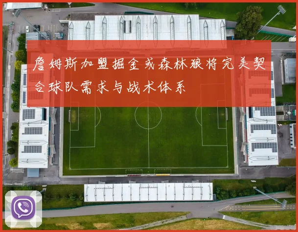 詹姆斯加盟掘金或森林狼将完美契合球队需求与战术体系