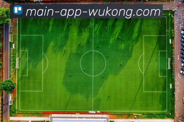 悟空体育APP 封面图